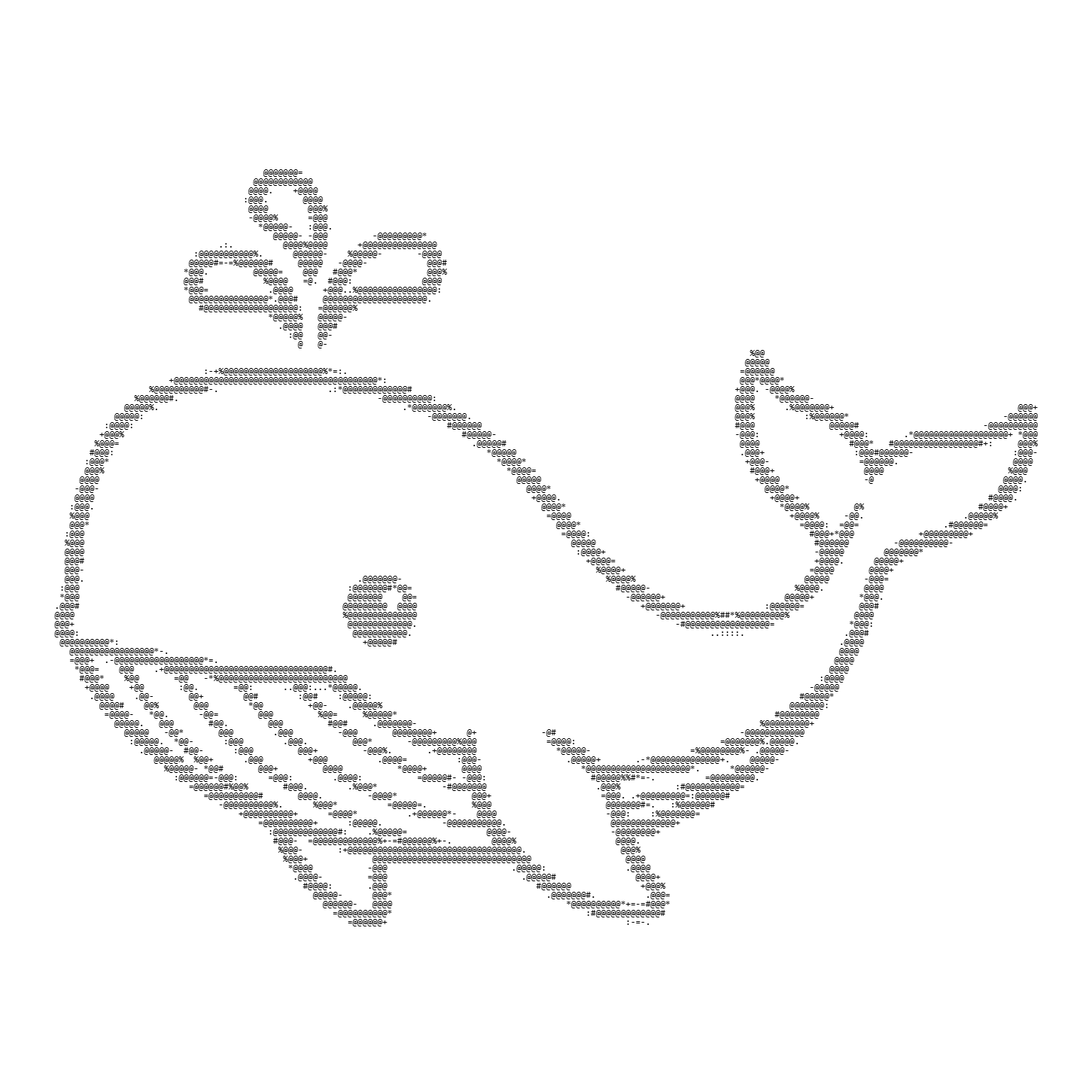 MSwhales